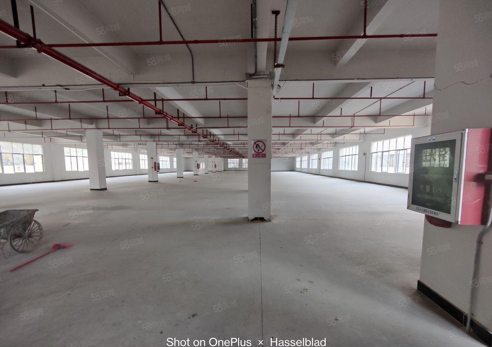 500起虎门临深2万平物流园仓库厂房出租标准卸货平台超大空地