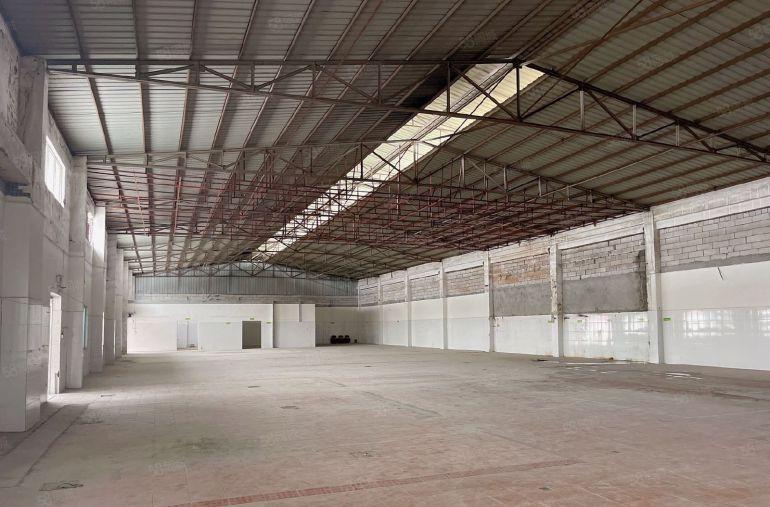 虎门新出单一层钢构2700平滴水6.5米低价厂房出租