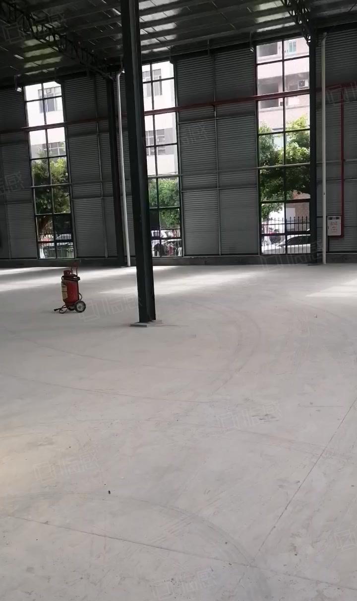 实际面积！低价！龙眼原房东全新10米高5000平钢构厂房出租