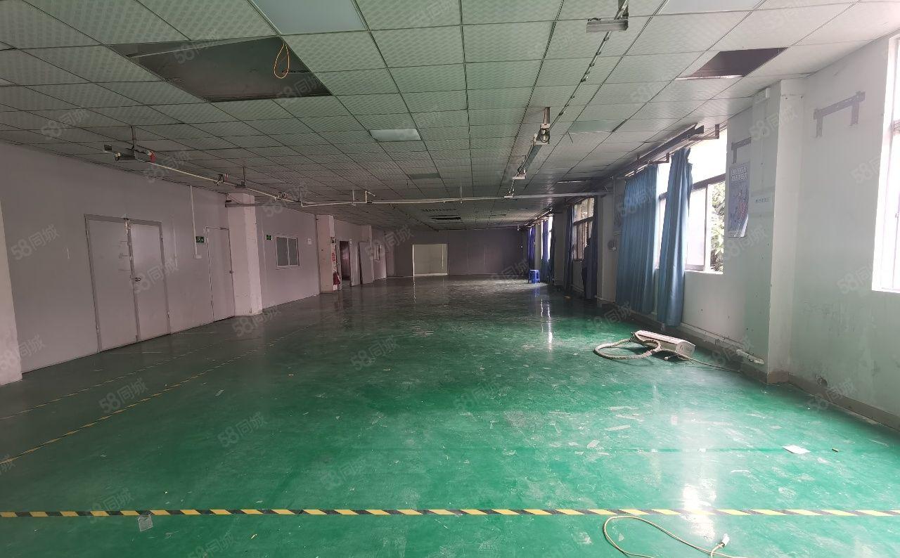 北栅新出独院厂房招租，大小可分，新出地坪漆，带宿舍