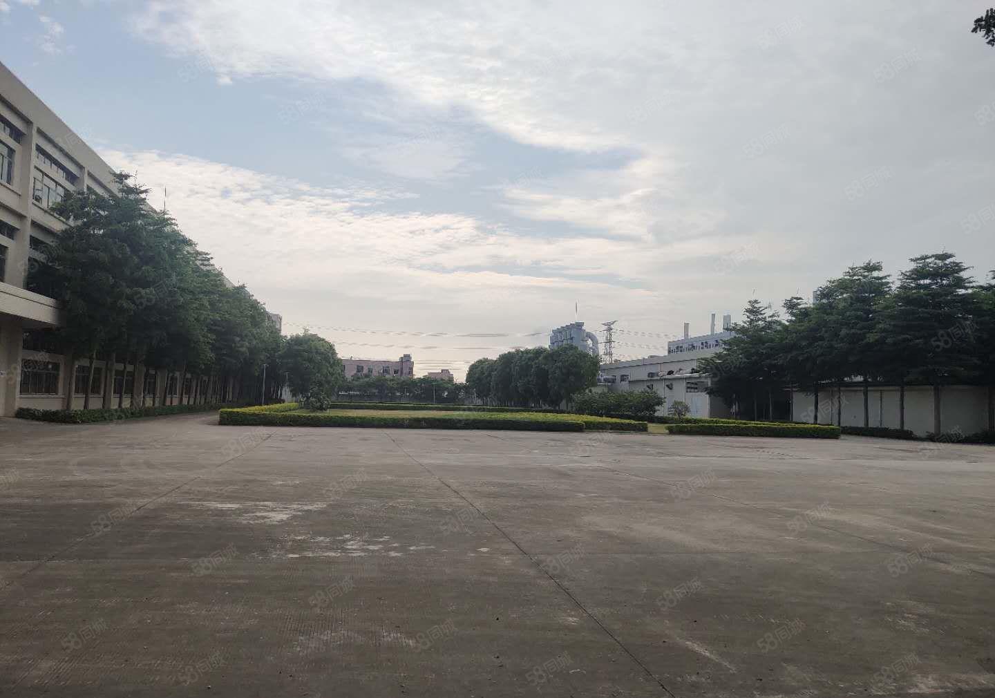 虎门工业区厂房出租，超大空地