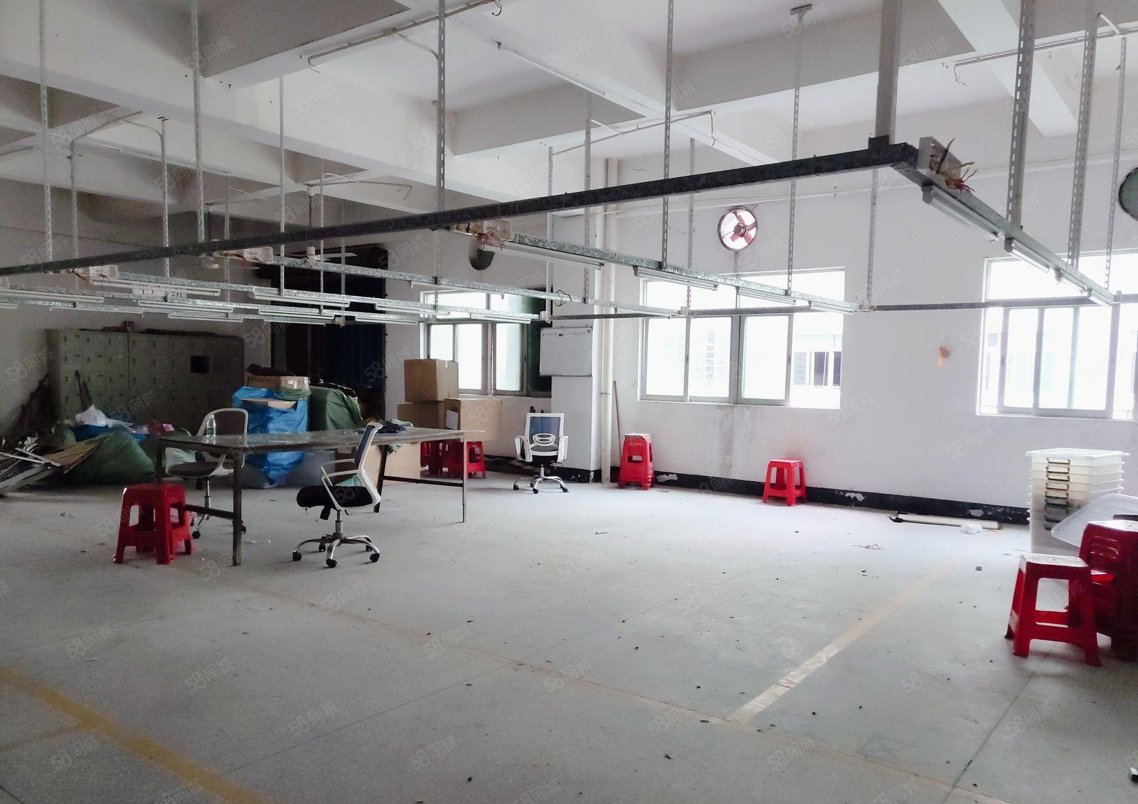 虎门新出标准厂房2100平，可做仓库，好停车，易招工