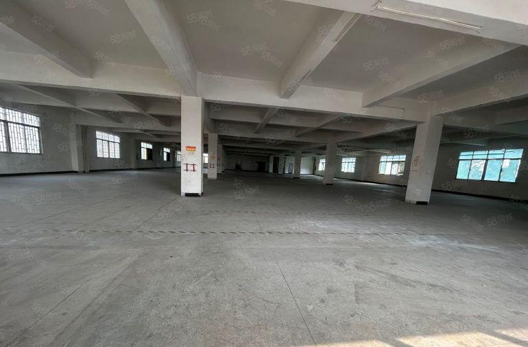 虎门怀德原房东独门独院4800平方精装装修厂房可分租