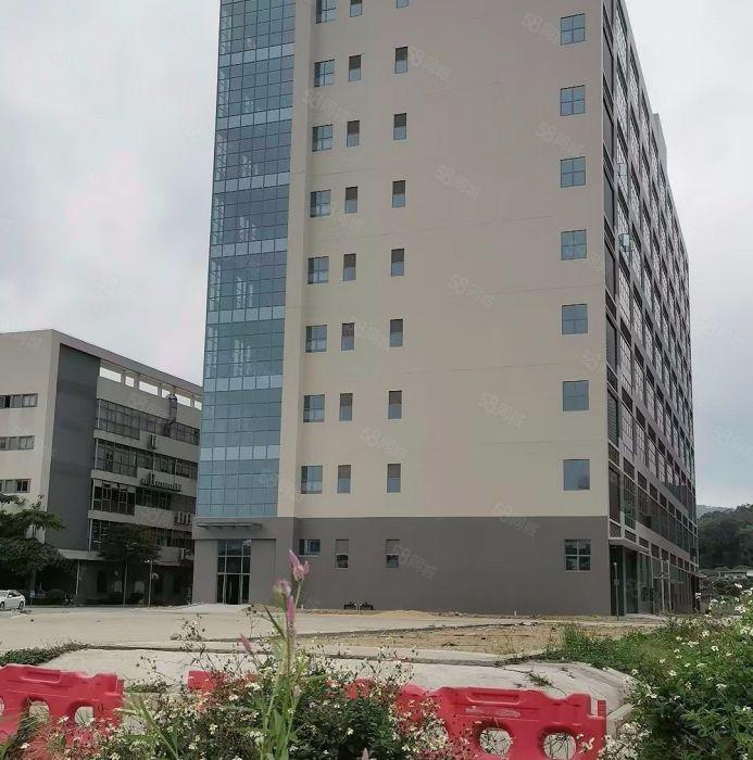 龙眼全新厂房出租一楼6米楼上5米带有卸货平台大小分租