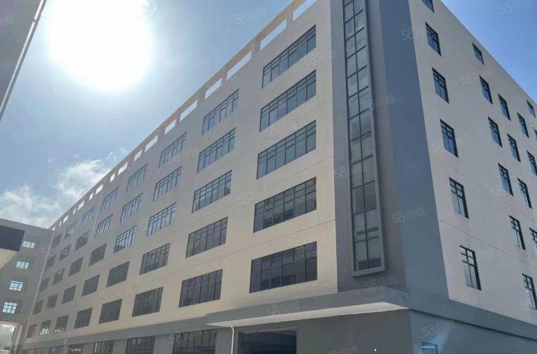 虎门树田社区新出原房东2000平带消防喷淋，低价厂房出租