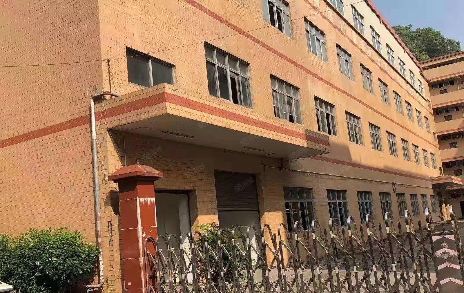 可办环评！低价招租！南栅原房东4400平豪华装修厂房出租！