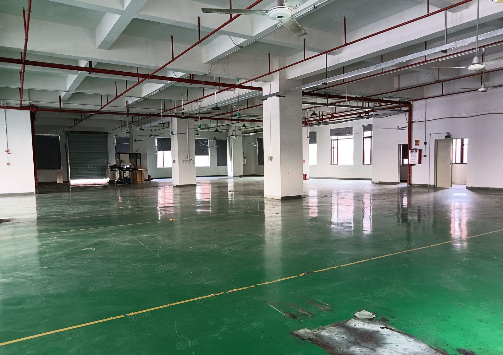 虎门镇怀德工业区厂房三楼1580平方