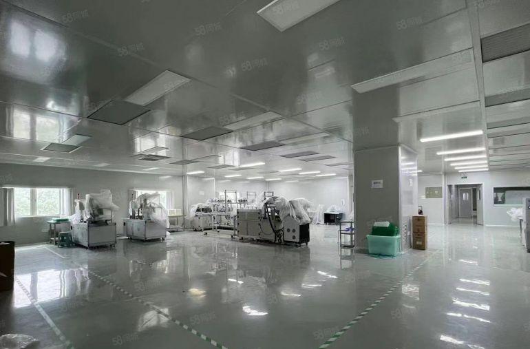 虎门镇 怀德现成千级无尘车间2300平方适合医疗口罩行业