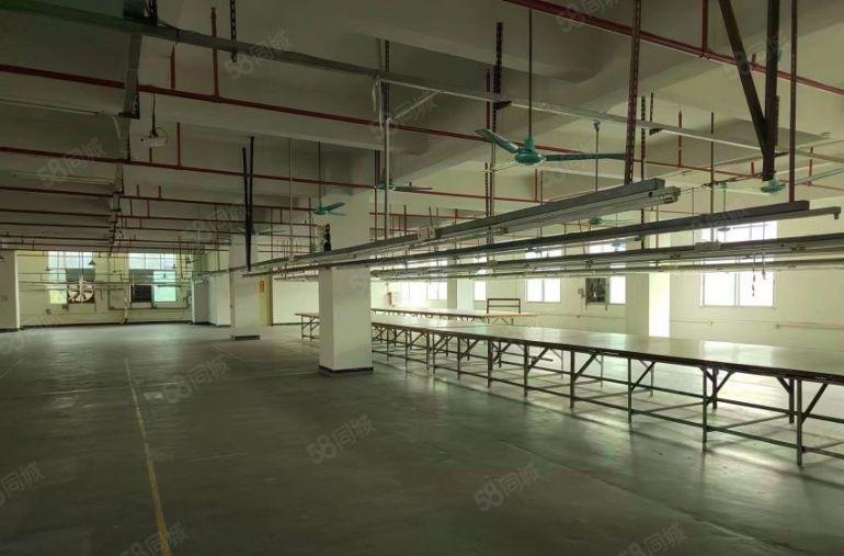虎门万达边新空楼上精装修1650平厂房仓库出租，形象好水电全