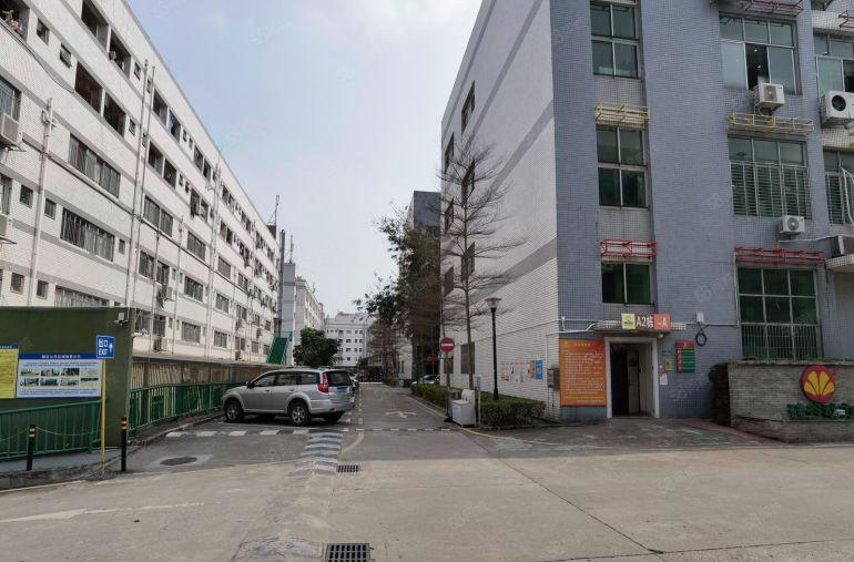 300起分租虎门龙眼3万平园区厂房仓库出租一楼18元楼上9元