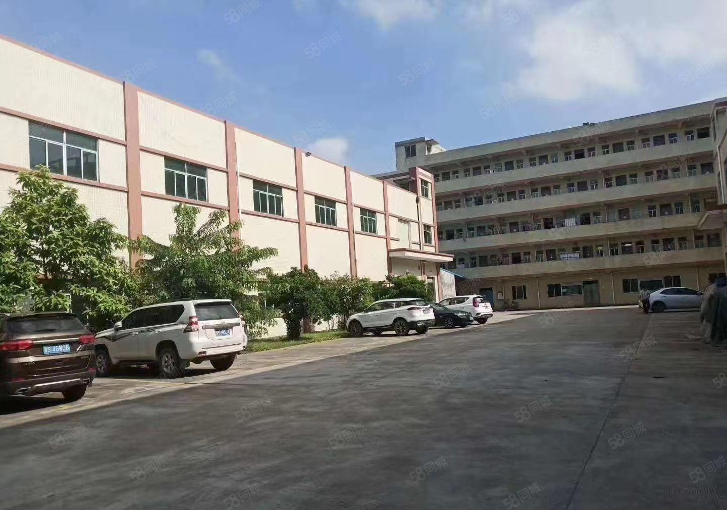 虎门临广深高速新出一楼层高7.2米精装厂房850平出租