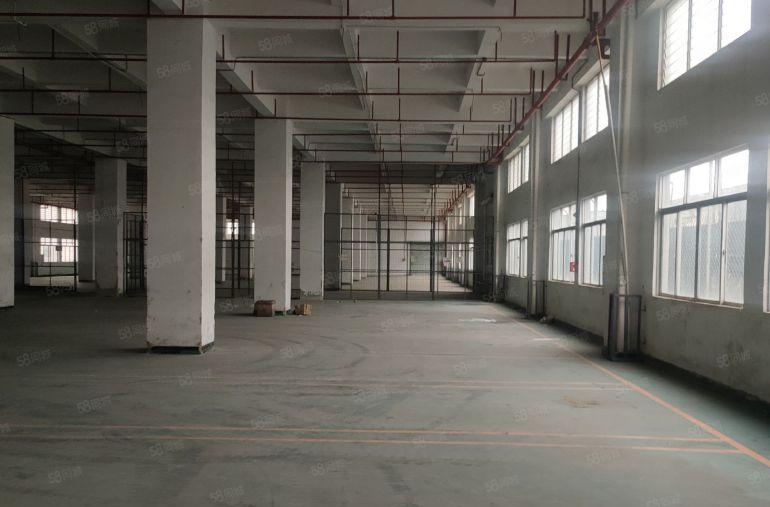 虎门龙眼原房东3000方一楼厂房出租实际面积出租到顶6米