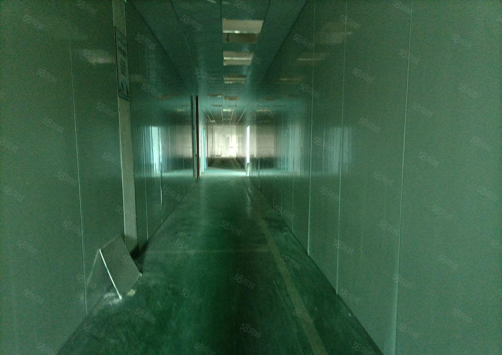 虎门，怀德独院厂房出租，面积8400平方