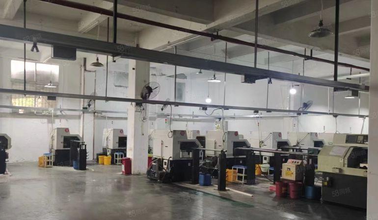 虎门镇新出1楼 1450平配电按需电梯 2吨，看厂房请找阿福