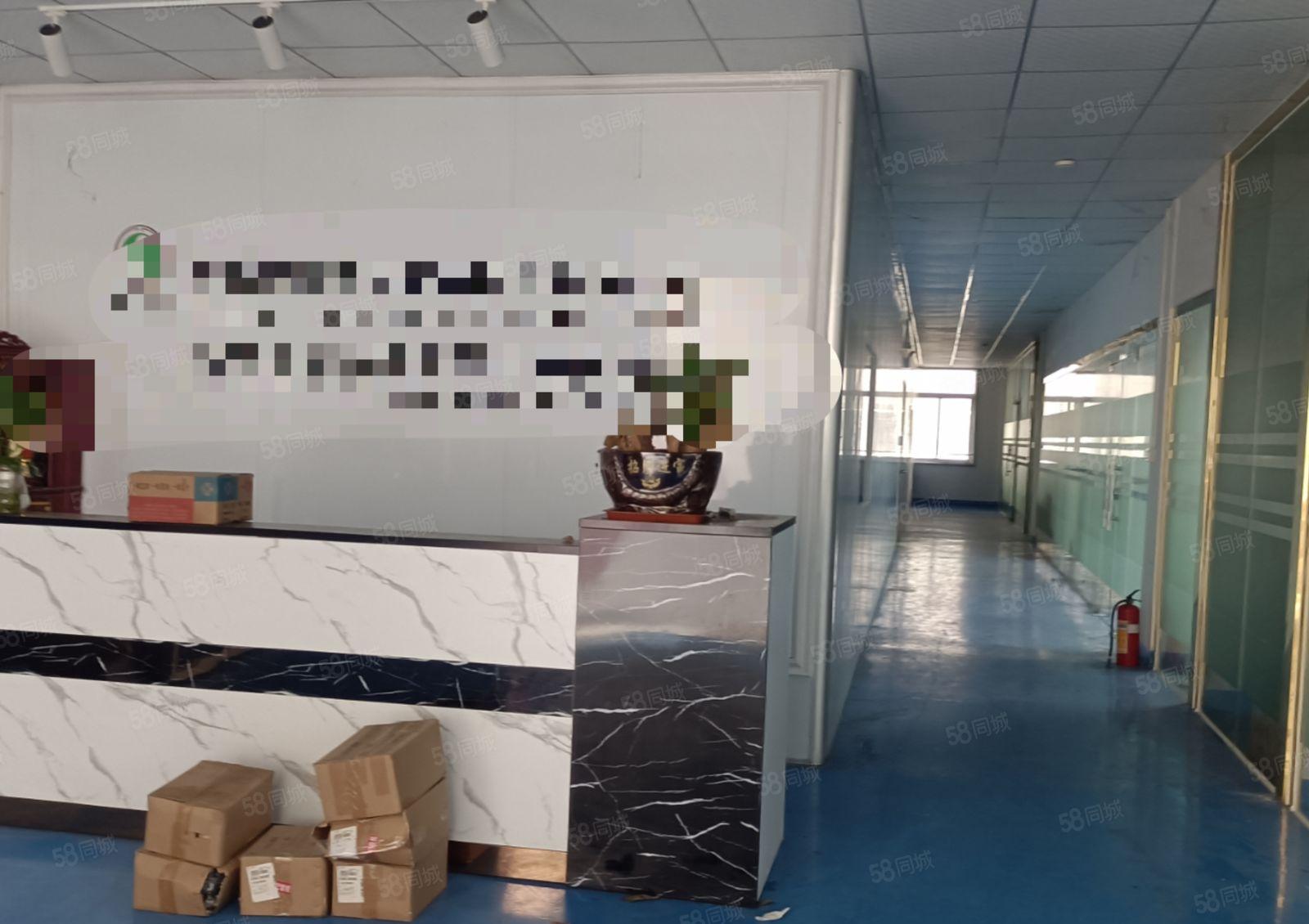 东莞虎门南栅长安原房东一楼3000平精装修办公室可分厂房出租