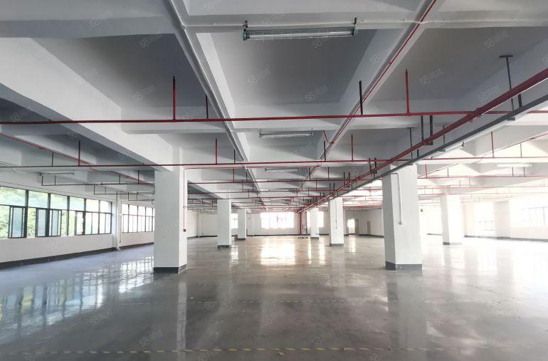 原房东独门独院厂房低价出租