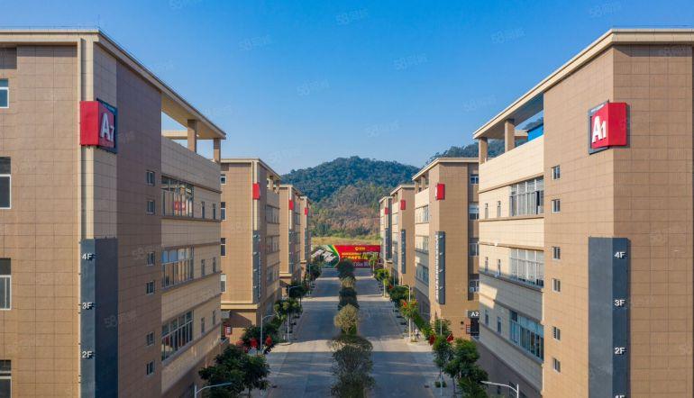 虎门北栅花园式红本厂房出租9483平方，上市企业园区