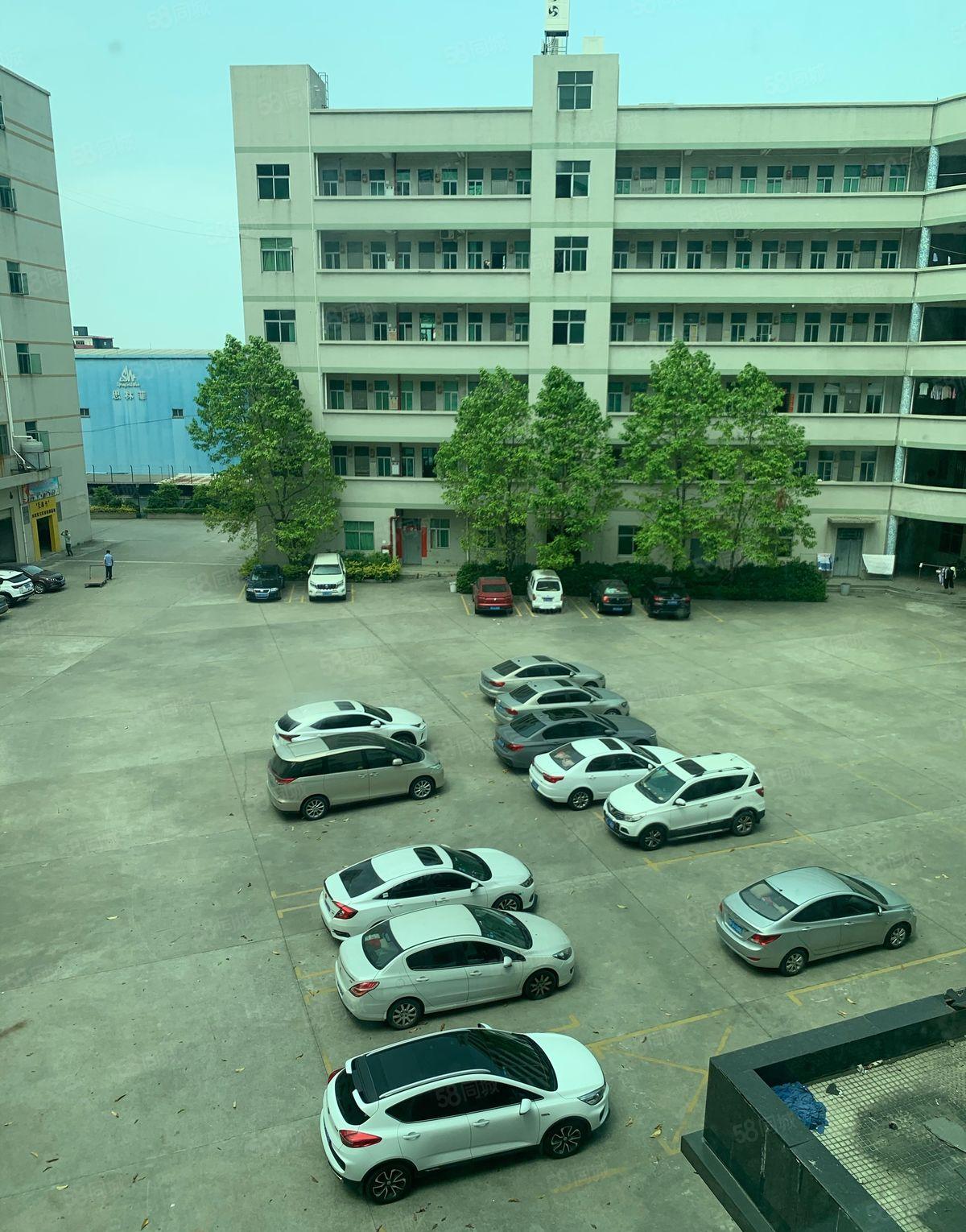 虎门一楼500平二楼900平带办公室装修厂房出租低价分租