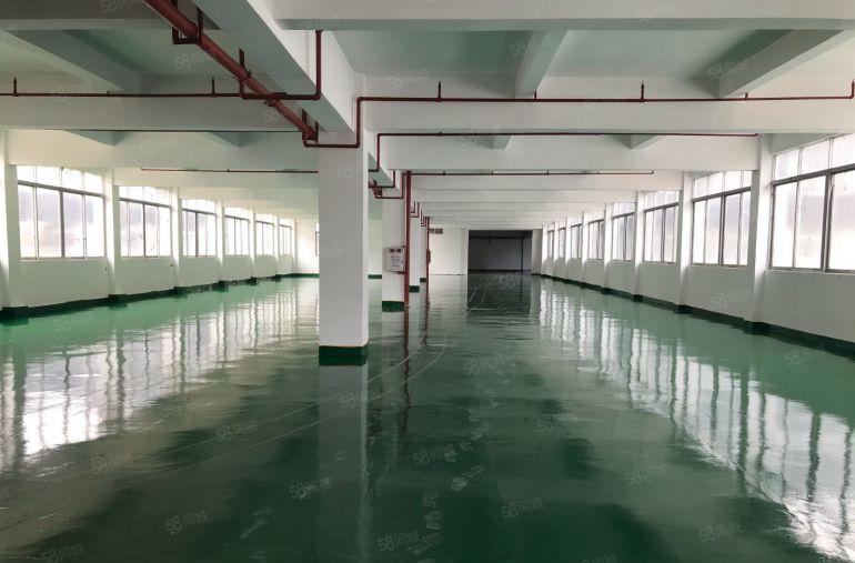 沿江高速旁虎门镇，南柵原房东独门独院厂房，带全新地坪漆