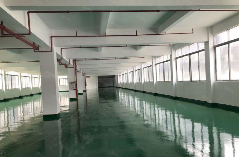 沿江高速旁虎门镇，南柵原房东独门独院厂房，带全新地坪漆