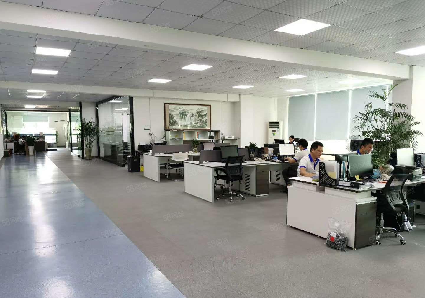 虎门南栅楼上新出精装修1200平水电到位厂房出租仓库出租