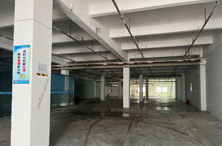 急租免租期90天租金10园区空地超大带有消防证