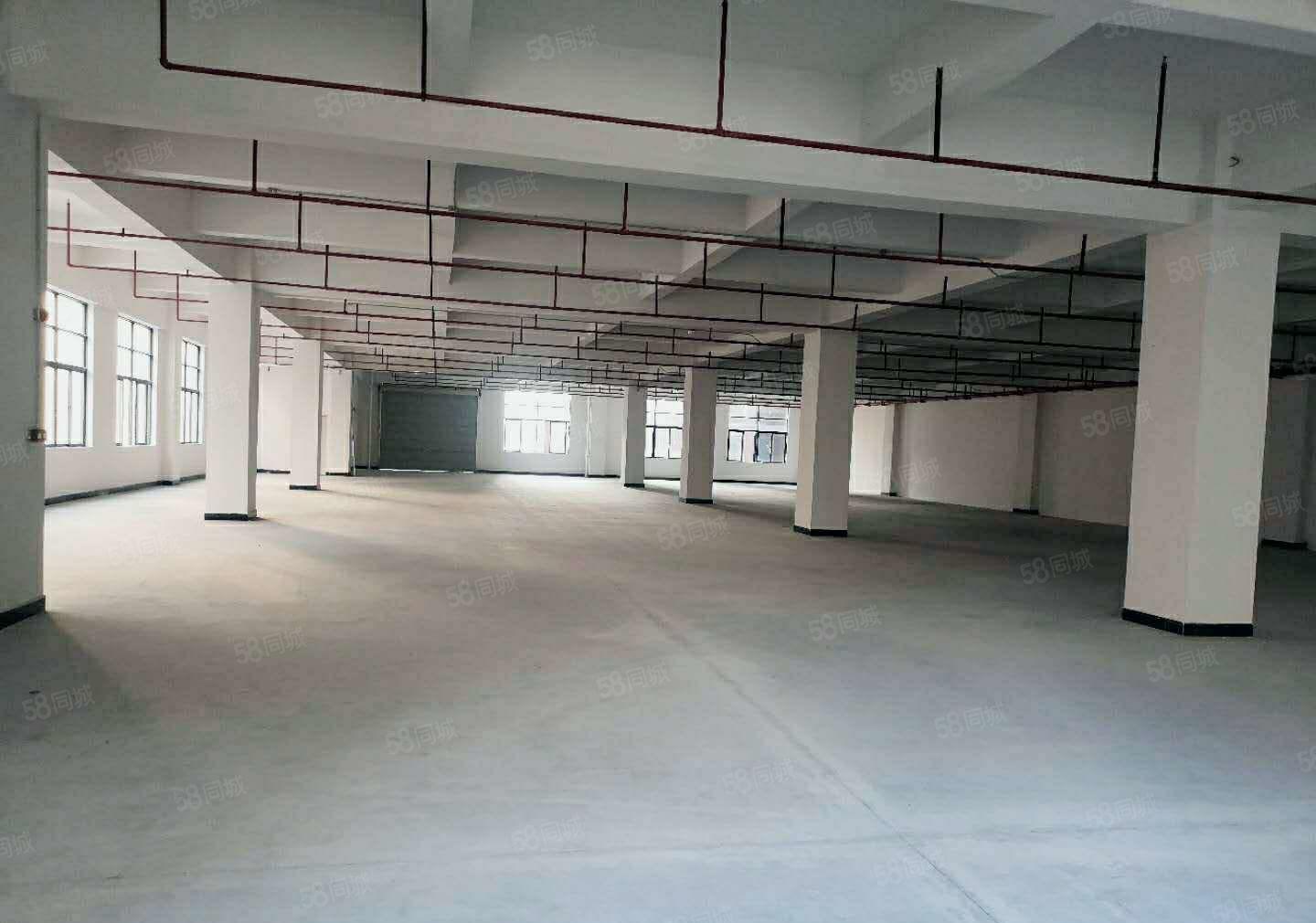 东风社区本地房东厂房招租，650平方，500平方，300平方