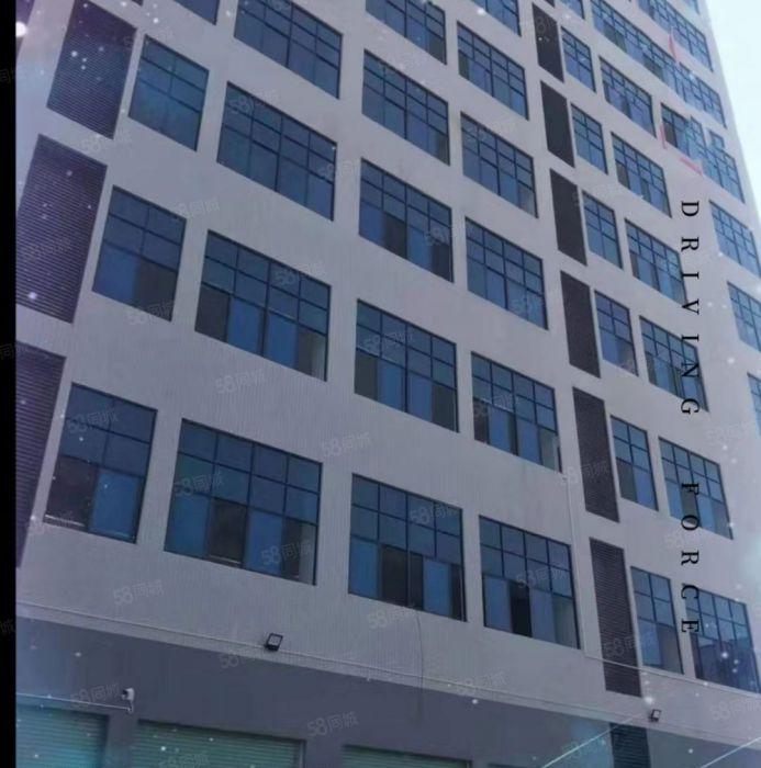 ！南栅原房东6米高1710平豪华装修1楼厂房出租啦！