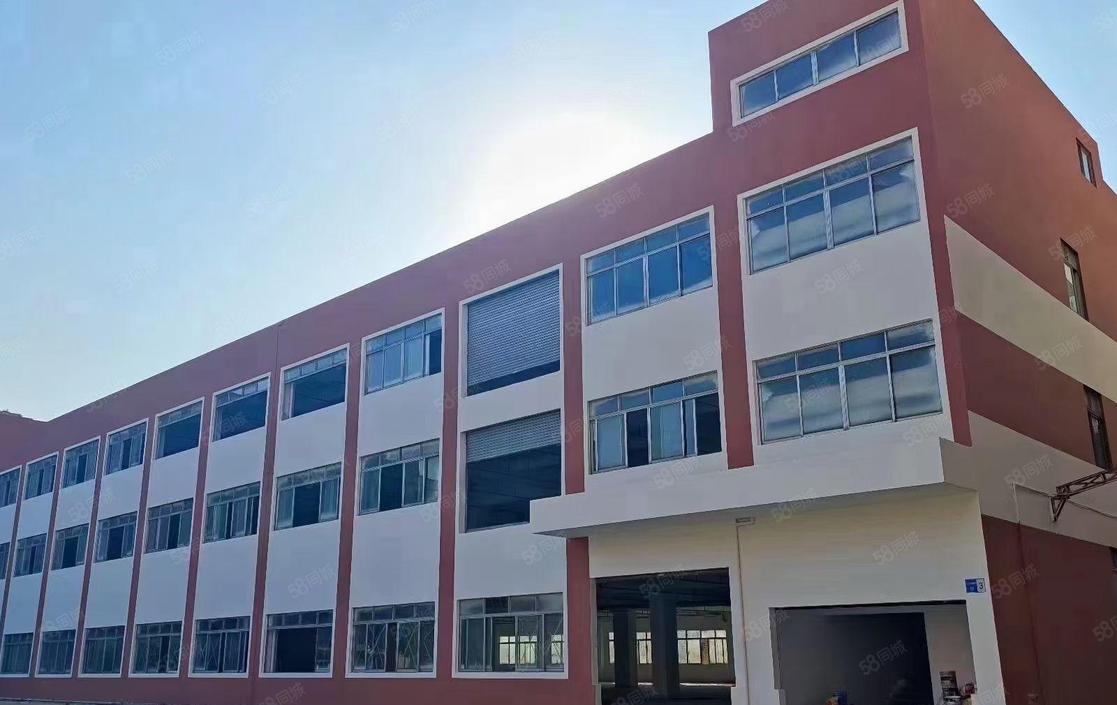 虎门镇北栅原房东独院厂房12000平方厂房出租可以分租