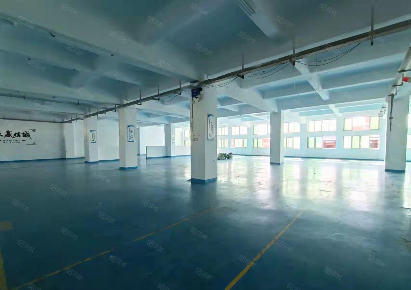 龙眼独门独院楼上1800平厂房出租 水电办公室齐全 可办环评