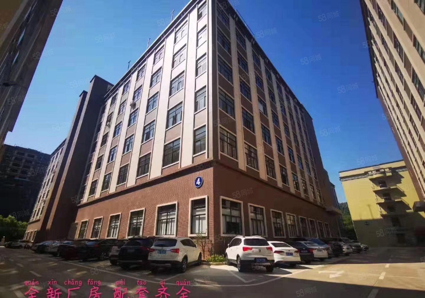 虎门滨海湾新区花园式厂房2000至8000平厂房出租可分租