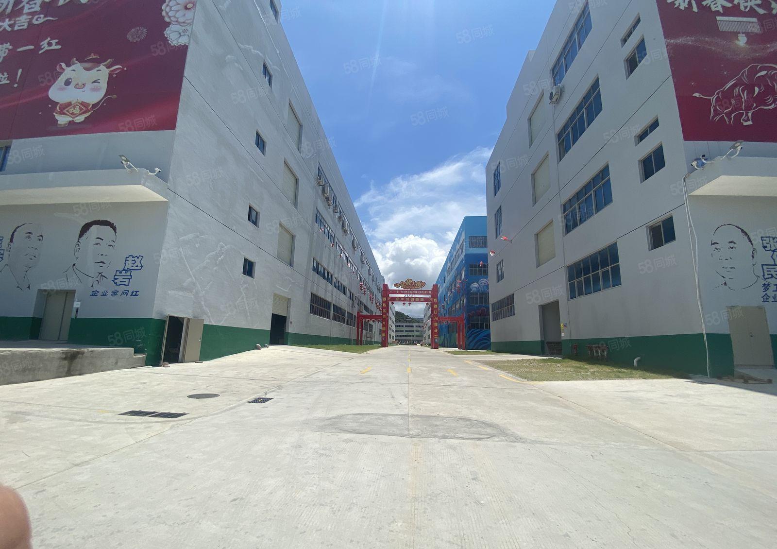 2000平起分租东莞虎门一楼9000平物流厂房仓库带卸货平台