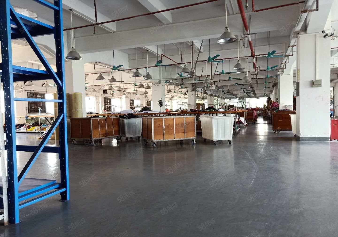 东莞市虎门镇新出独院7200平方厂房出租，可办环评！