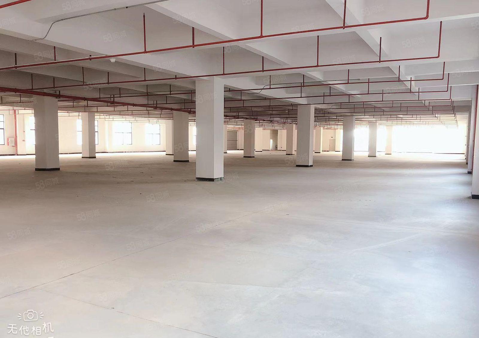 虎门镇威远厂房一楼二楼各3580平方厂房出租可以分租