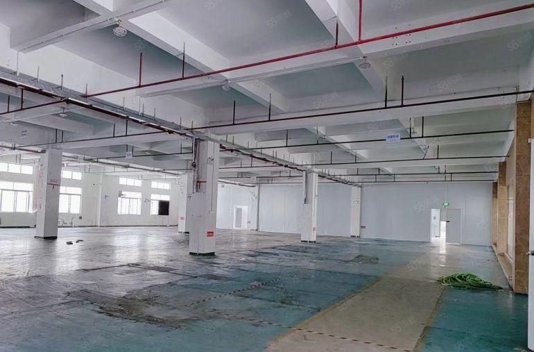 虎门 北栅 靠近长安原房东独院空地大形象好低价出租