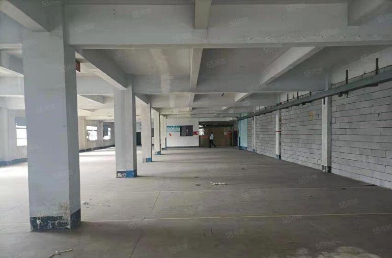 虎门南栅带豪华精装修办公室1500平水电齐全厂房出租仓库出租