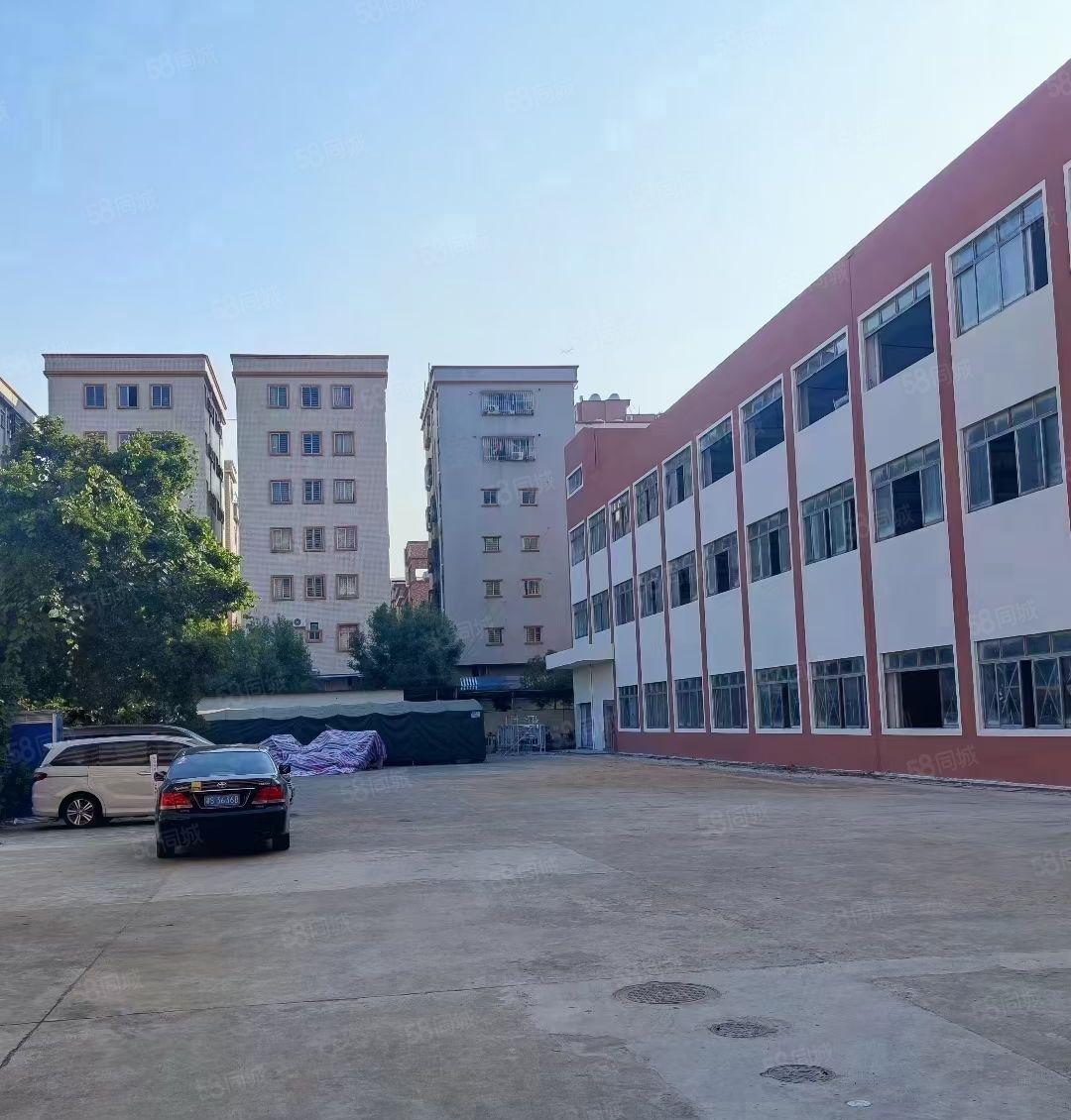 虎门镇北栅原房东独院厂房12000平方厂房出租可以分租