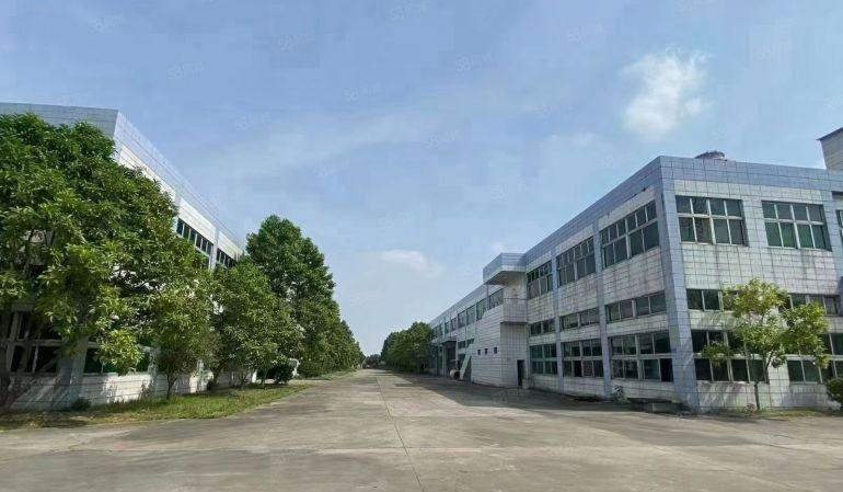 虎门新出单一层独院5800方滴水10米适合机械五金行业。