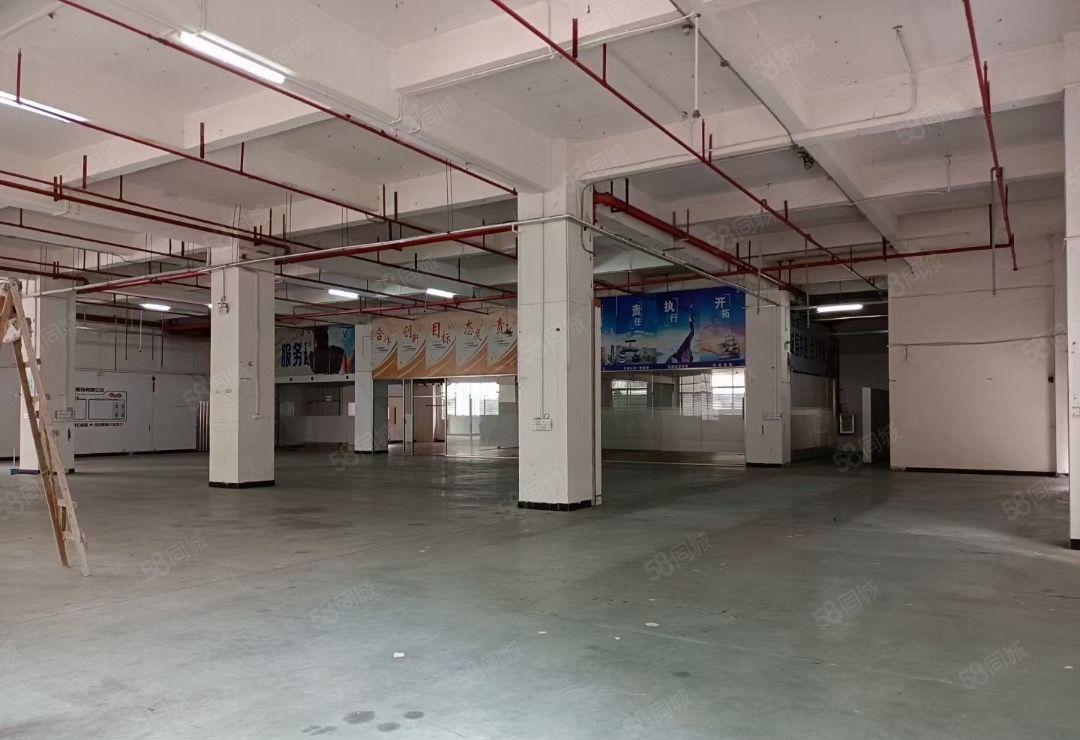 龙眼11路新出一个7米高一楼1470平带装修出租可分租