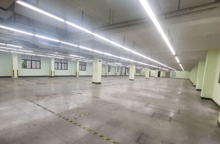 虎门金洲二区附近5000平精装修独院无公摊厂房低价出租