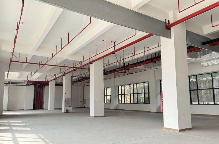 虎门厂房出租可办环评一楼加楼上5000方大小可分租