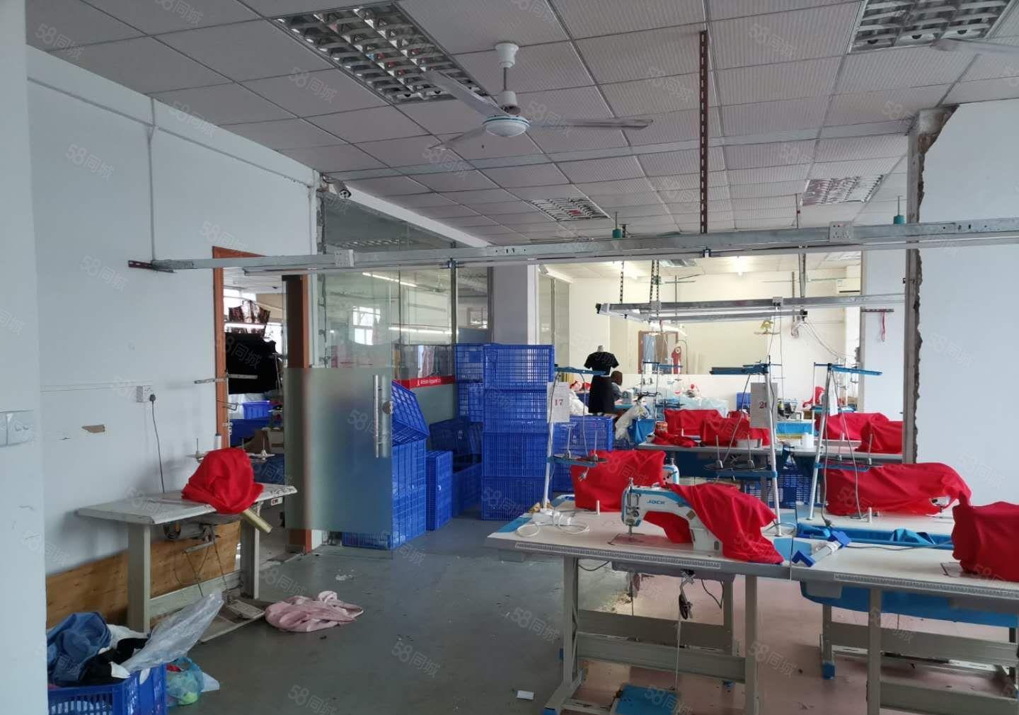 虎门威远成熟工业区楼上1480平  现成制衣装修