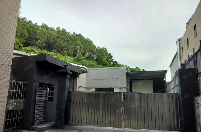 虎门大宁靠近长安上角民企路原房东钢构独院1680方，低价出租