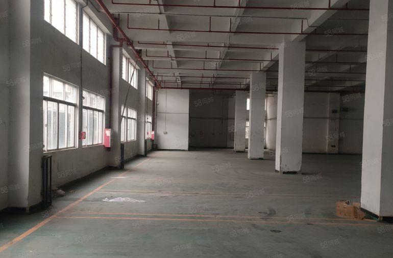 虎门龙眼原房东3000方一楼厂房出租实际面积出租到顶6米