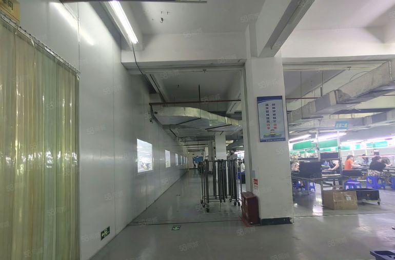 园区现成精装豪华装修带地坪漆现成办公室无层车间