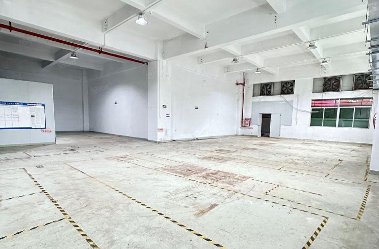 虎门厂房一楼6米高带水电主线到车间园区靠近长安空地可进大车