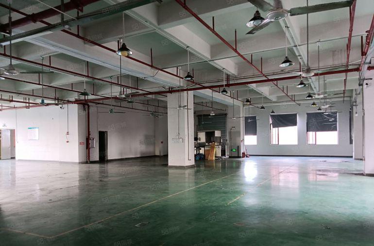 虎门镇居岐近怀德树田新出楼上带办公室地坪漆装修1280平米