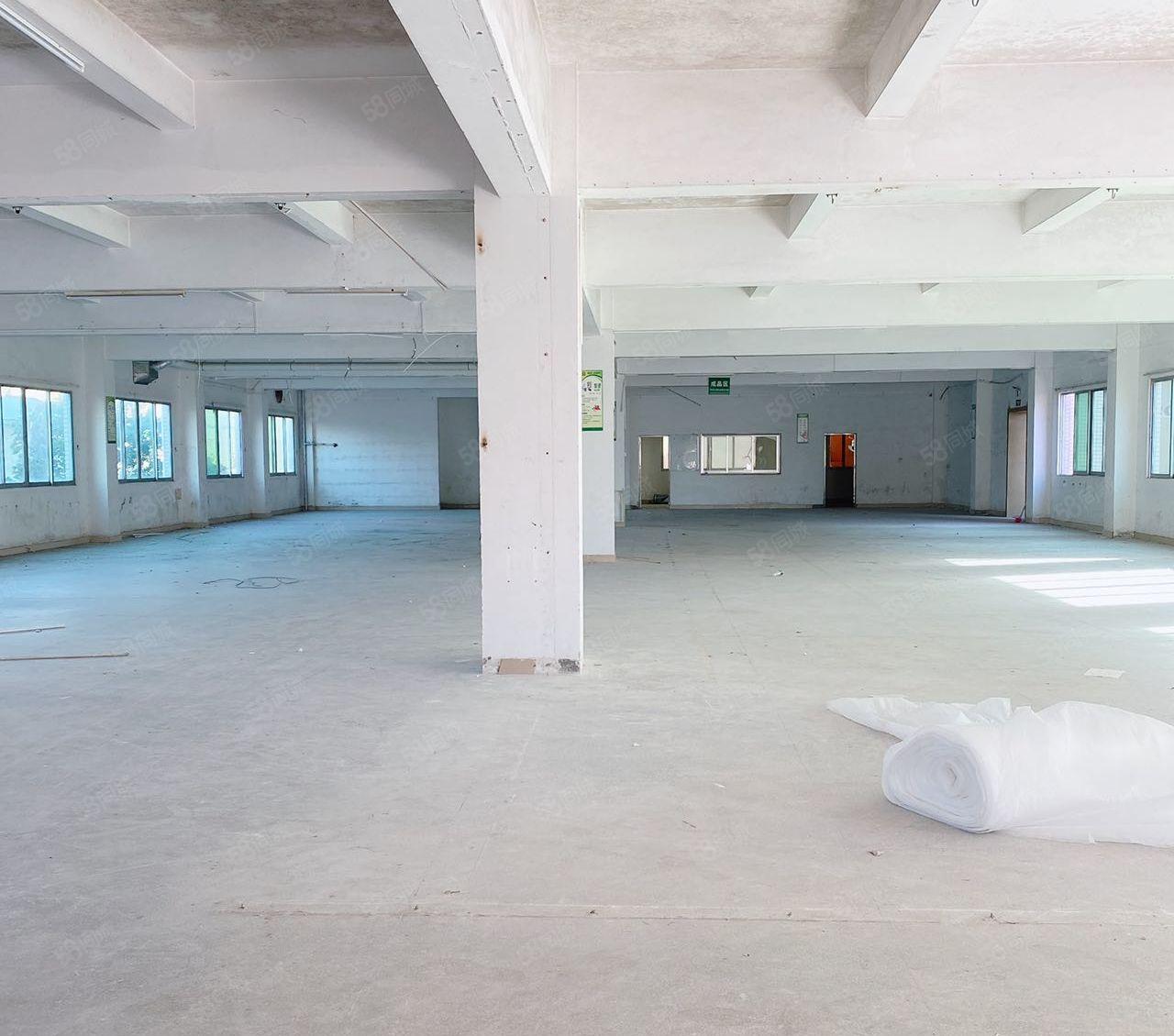 东莞虎门新出沿江高速路口独门独院1500平方厂房出租