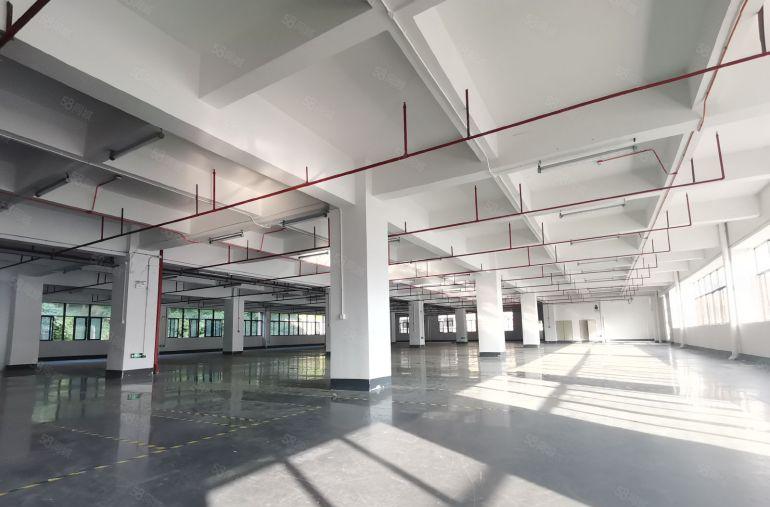 原房东独门独院厂房低价出租