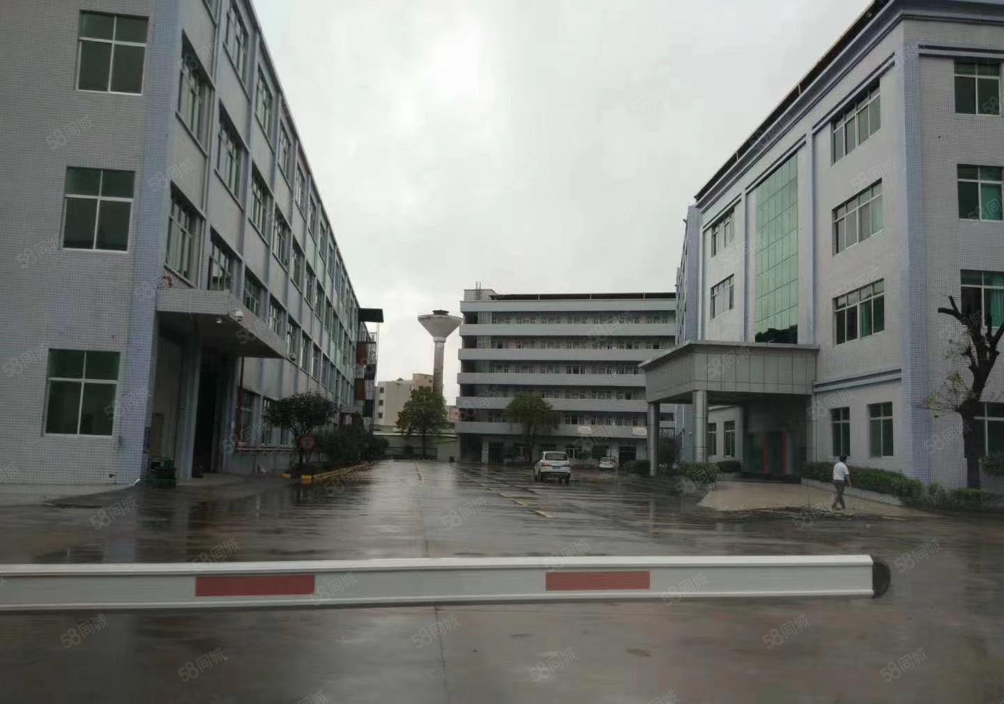 虎门工业区厂房出租，超大空地